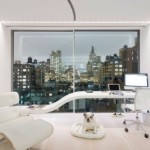 3Manhattan, Iwan Baan photo, UNStudio (arch)